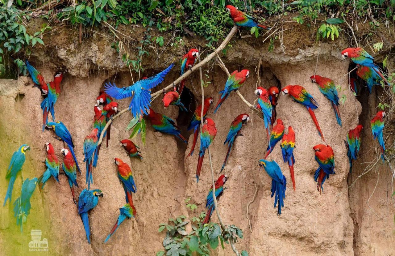 Monte Amazonico Lodge Tambopata Exteriér fotografie